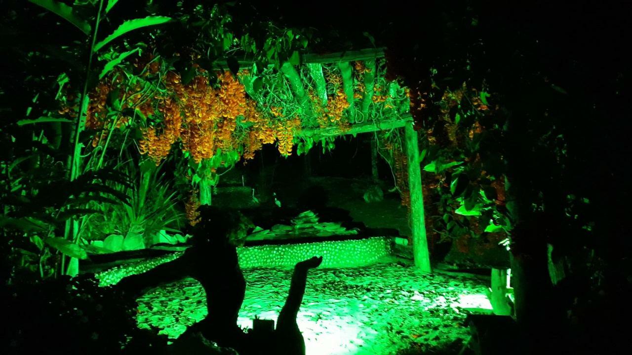 Pousada Cachoeira Poco Encantado Alto Paraíso de Goiás Εξωτερικό φωτογραφία